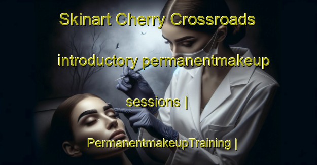 Skinart Cherry Crossroads introductory permanentmakeup sessions | PermanentmakeupTraining | PermanentmakeupClasses | SkinartTraining-United States